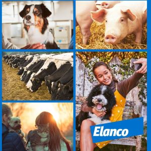 ELANCO