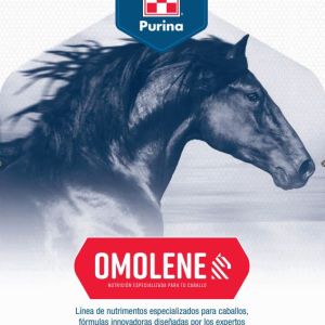 CABALLOS OMOLENE PURINA